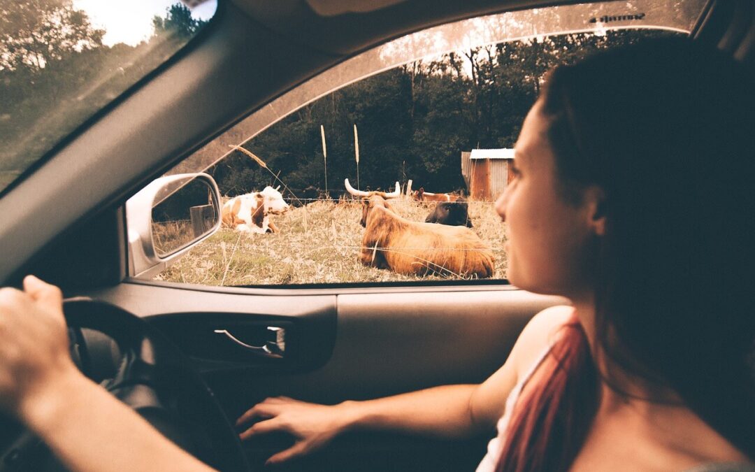 KFZ Versicherung Online Vergleichen