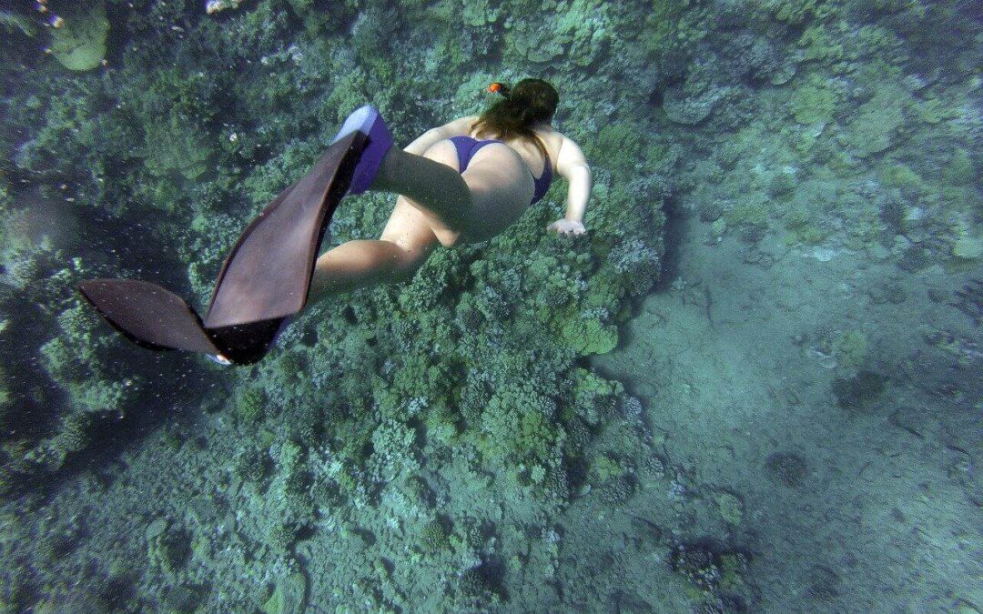 Unterwasserkameras – was sollte man beachten? 📌